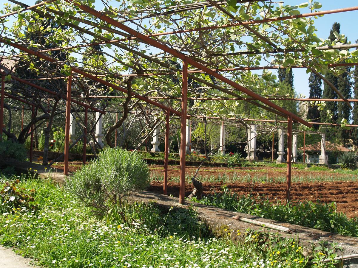 Villa Castrum Rovinj Eksteriør billede
